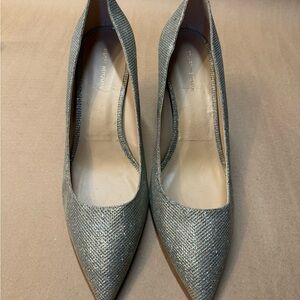 Elegant Silver Women's Shoes